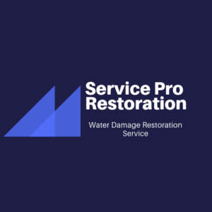 Rochester Service pro restoration